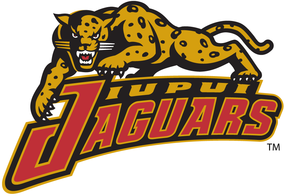 IUPUI Jaguars 2002-2007 Alternate Logo v3 iron on transfers for clothing